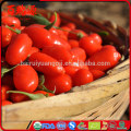 Goji Superfood bestellen Goji Beeren Goji Beere Como Tomar